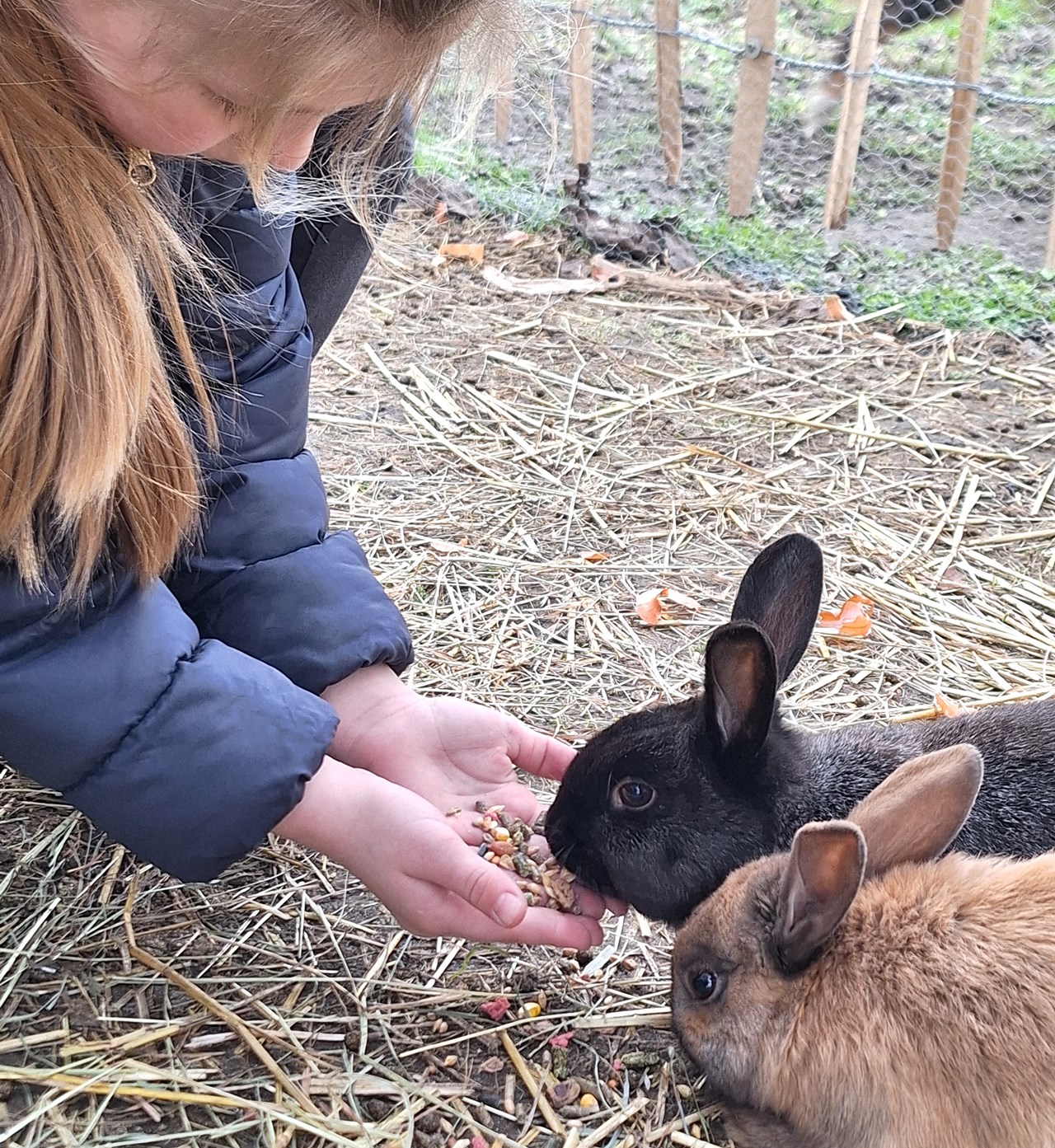 Bauernbräugut Nos animaux 