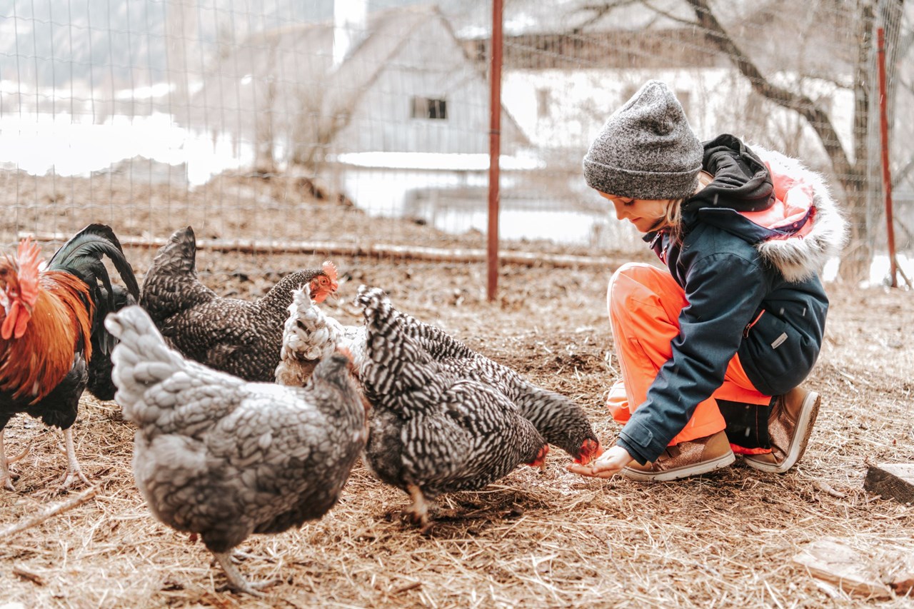 Adelwöhrer Bauernhaus unsere Tiere 