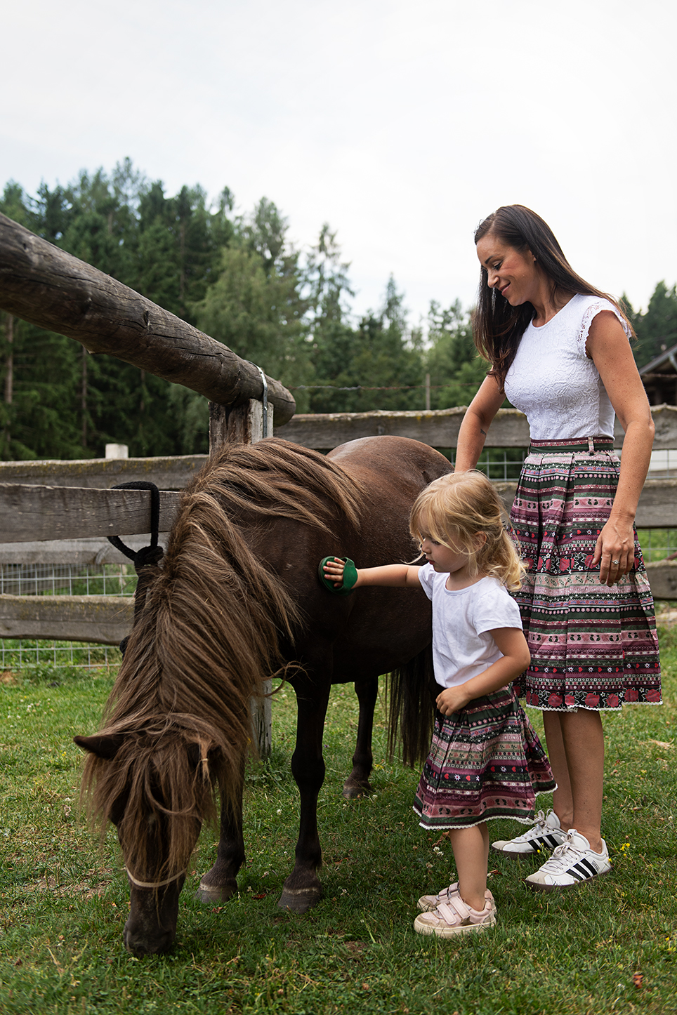 Unterkunft: Pony striegeln - Hochleben Chalets