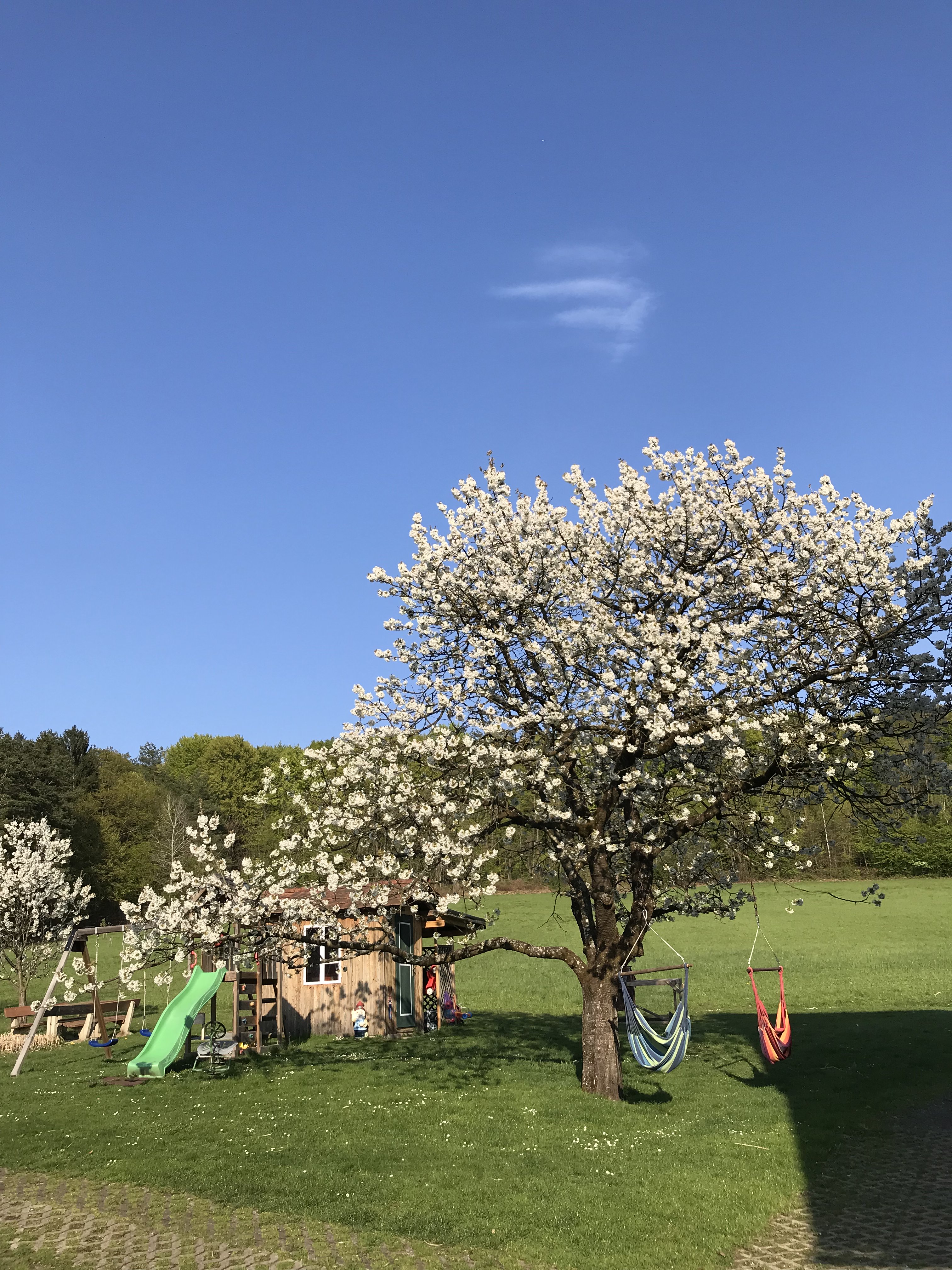 počitnice na kmetiji - Štajerska - Viel Platz und Bewegungsfreiheit, großer Garten mit blühenden Bäumen und Spielplatz für kleine Gäste. - Landhaus Bender  Frühlingsangebot