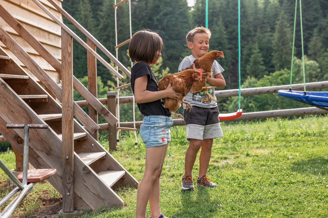 Ferien Bauernhof: Stembergerhof - Urlaub am Bauernhof mit vielen Tieren - Stembergerhof