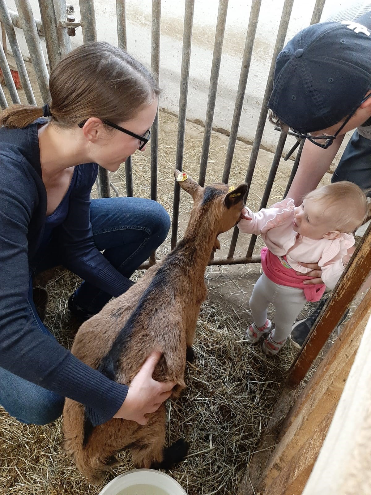 Schusterhans-Hof unsere Tiere Kinder beim Ziegen streicheln