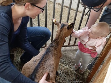 Schusterhans-Hof unsere Tiere Kinder beim Ziegen streicheln