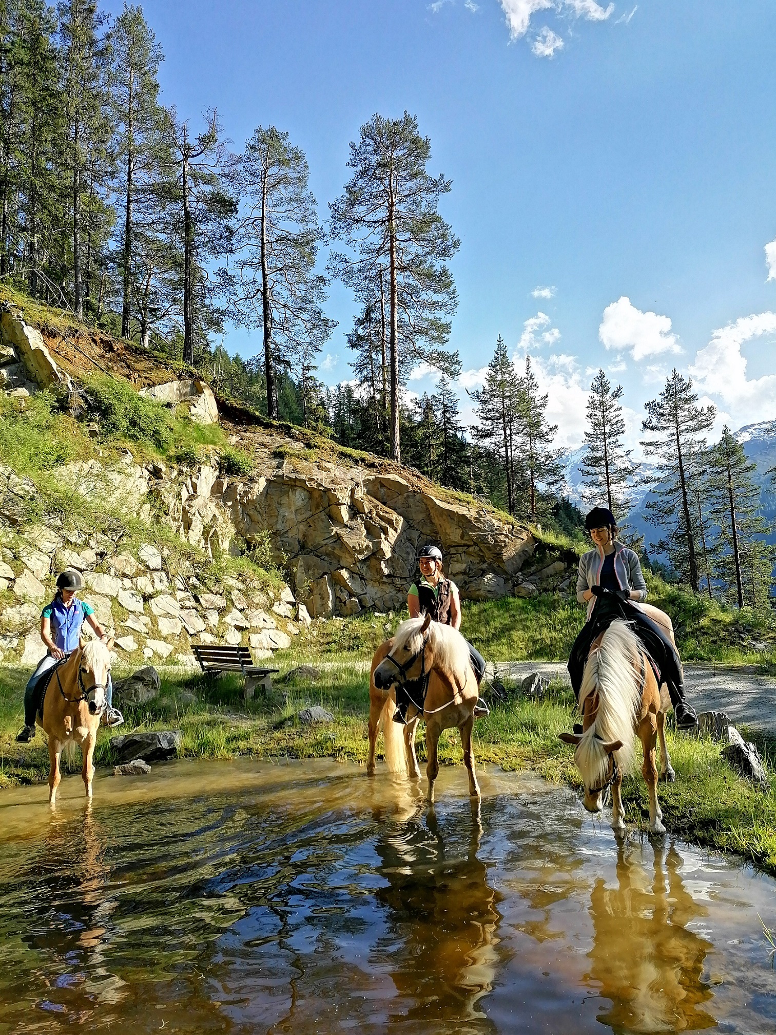 vacances à la ferme - Tyrol - Pferde beim Wasserplanschen im Wald - Bio und Reiterhof der Veitenhof „Reiterferien-Paket im Ötztal – Natur, Pferde & Erholung“
