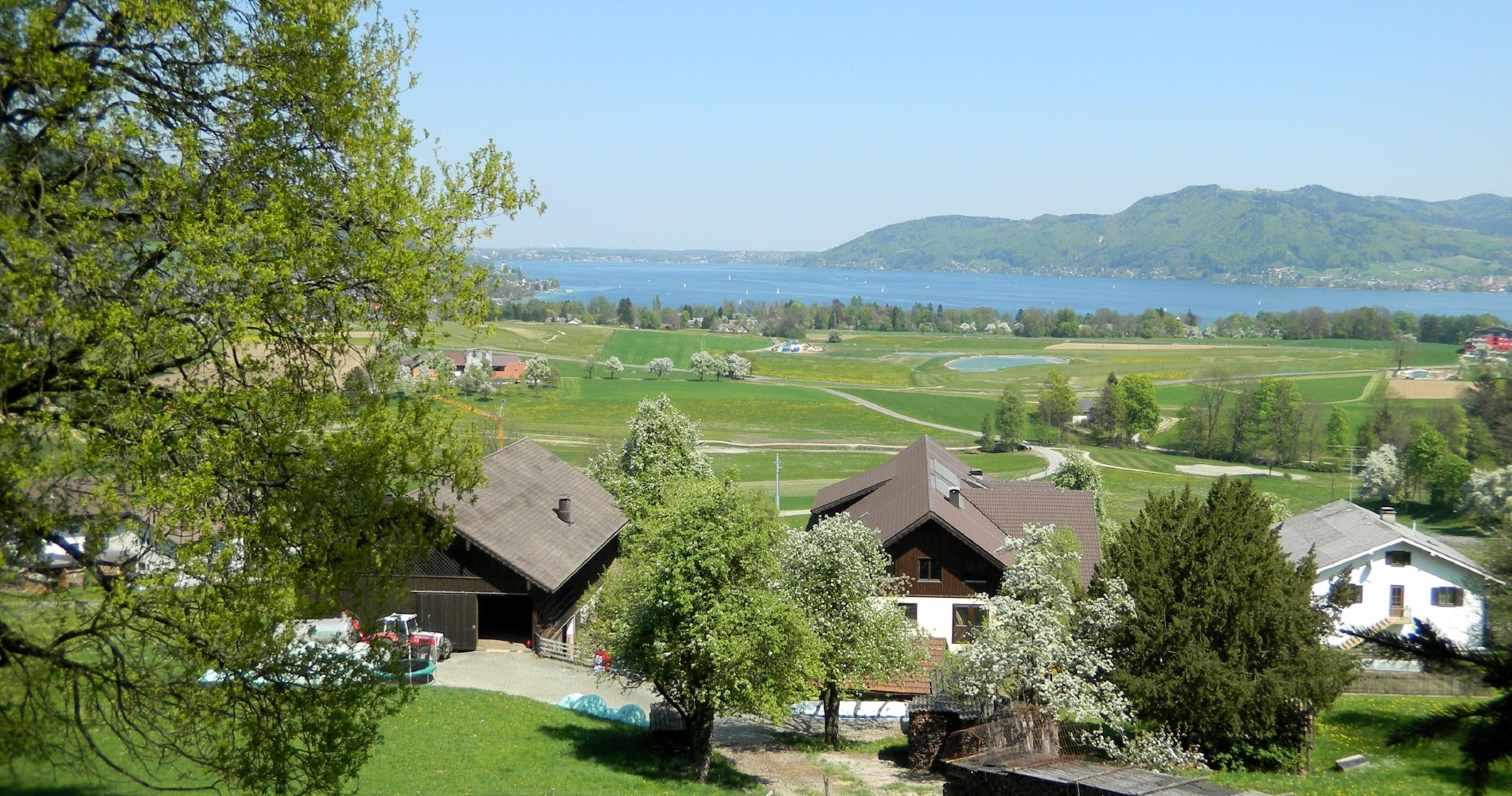 vacances à la ferme - Steinbach am Attersee - Schustergut mit Ausblick - Schustergut