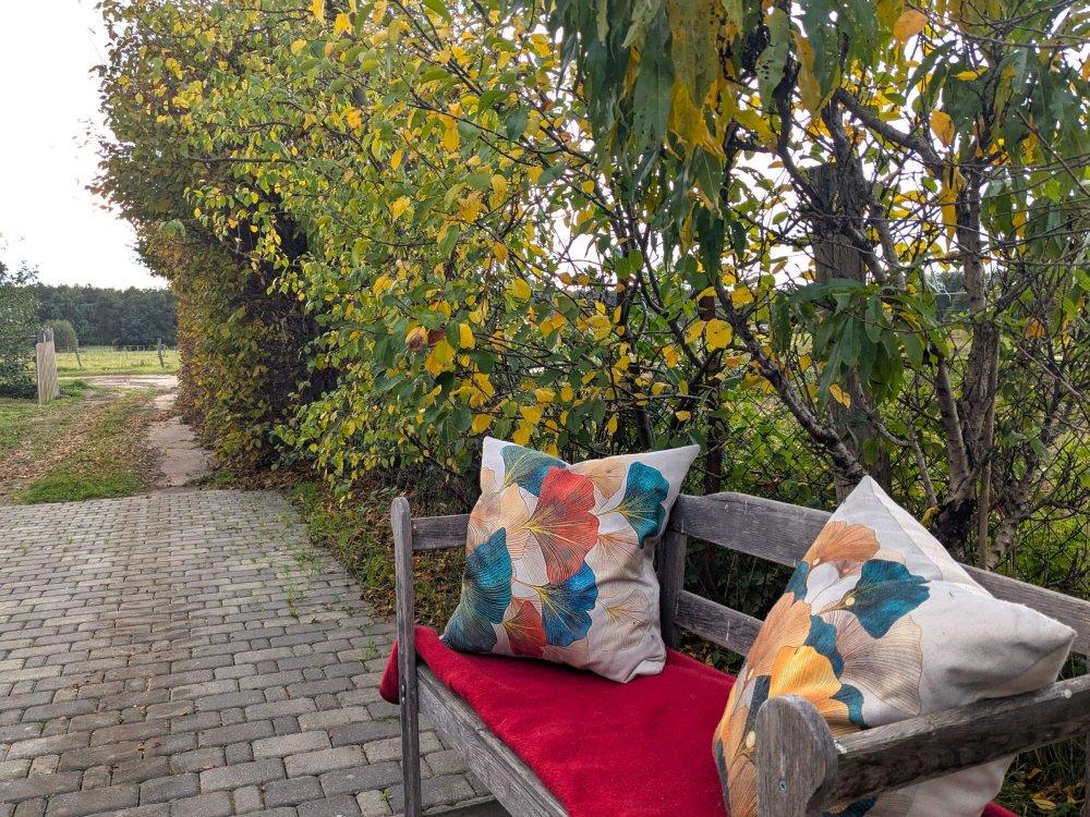 Unterkunft: Ferienhaus an den Pferdekoppeln