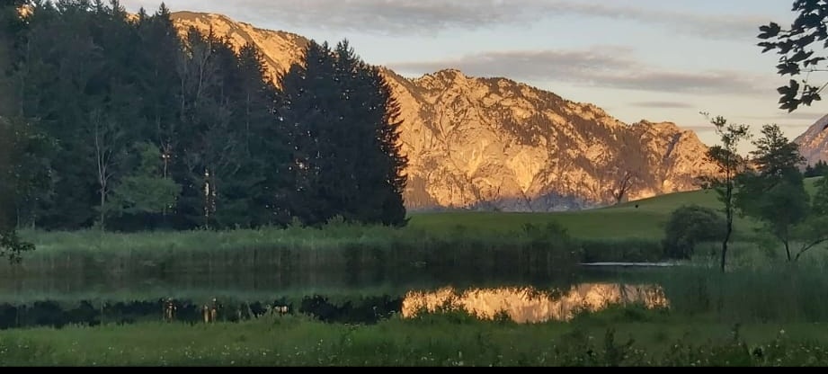 vacation on the farm - Alpen - Egelsee beim Margarethengut - Ferienhof Margarethengut am Attersee Herst am Attersee