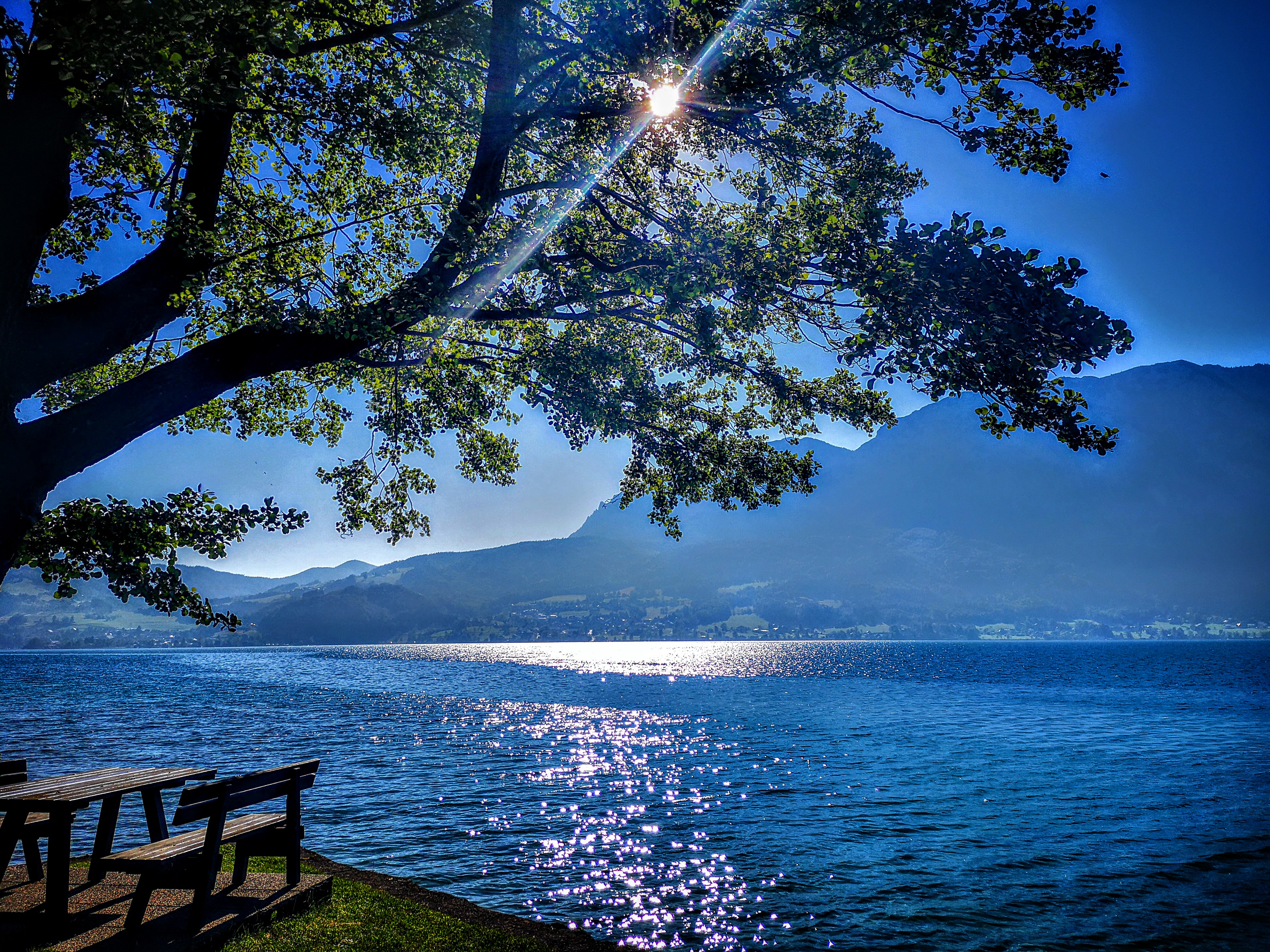 vacation on the farm - Alpen - eigener Badestrand am Attersee - Ferienhof Margarethengut am Attersee Herst am Attersee