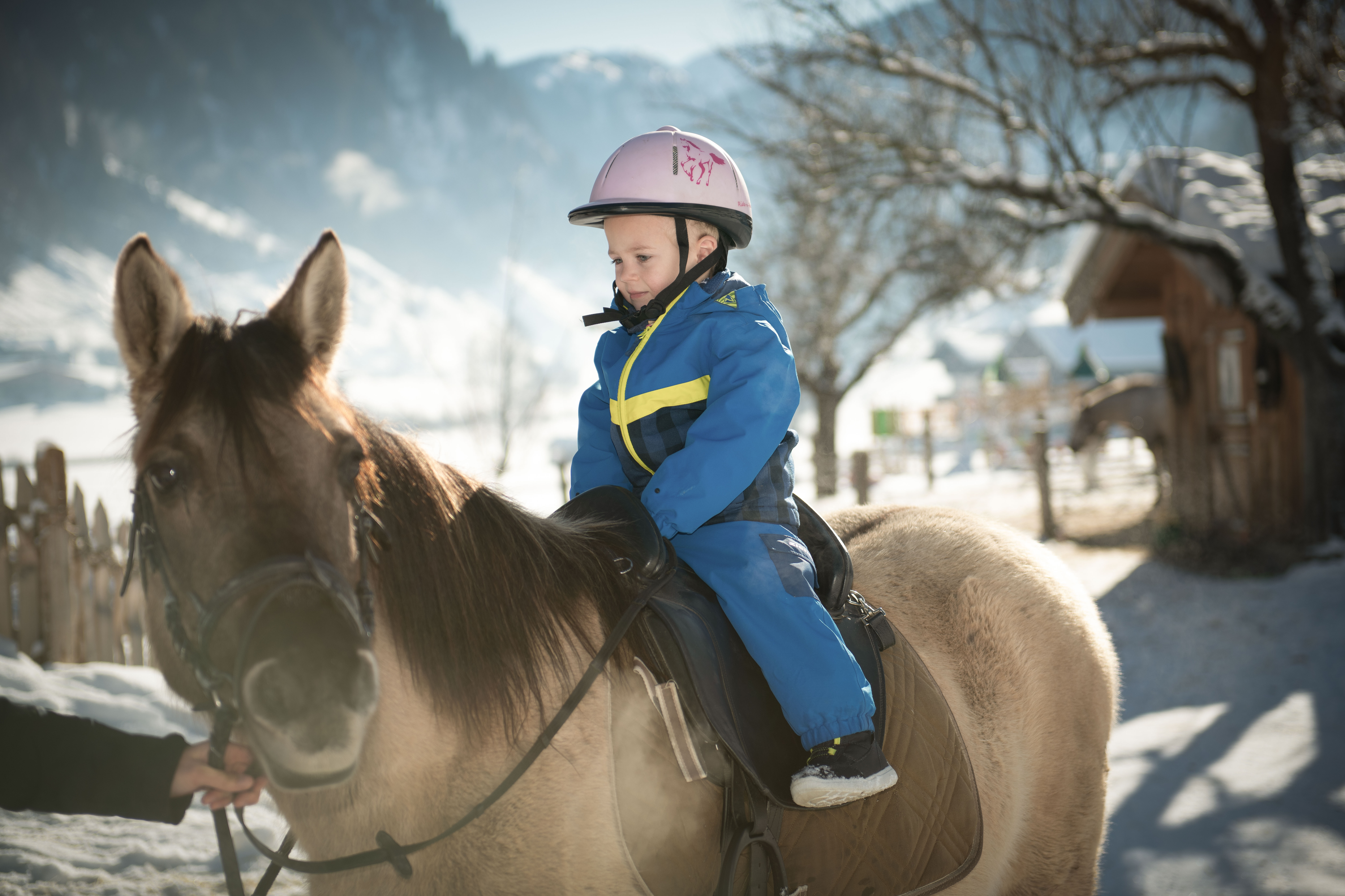 vacation on the farm - Nationalpark Hohe Tauern - Schmiedhofgut Schmiedhofgut