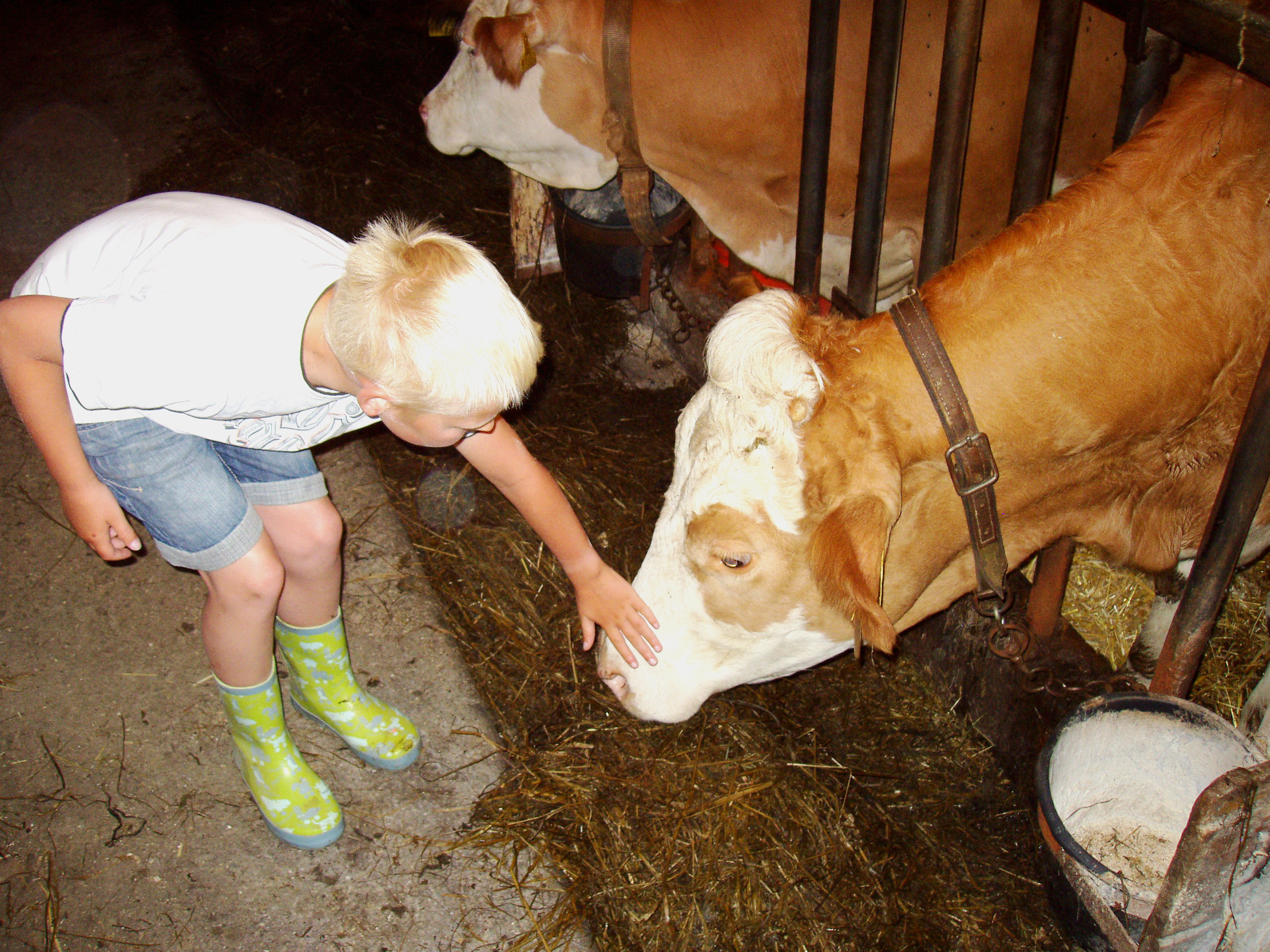 Ferien Bauernhof: Bauernhof Waira