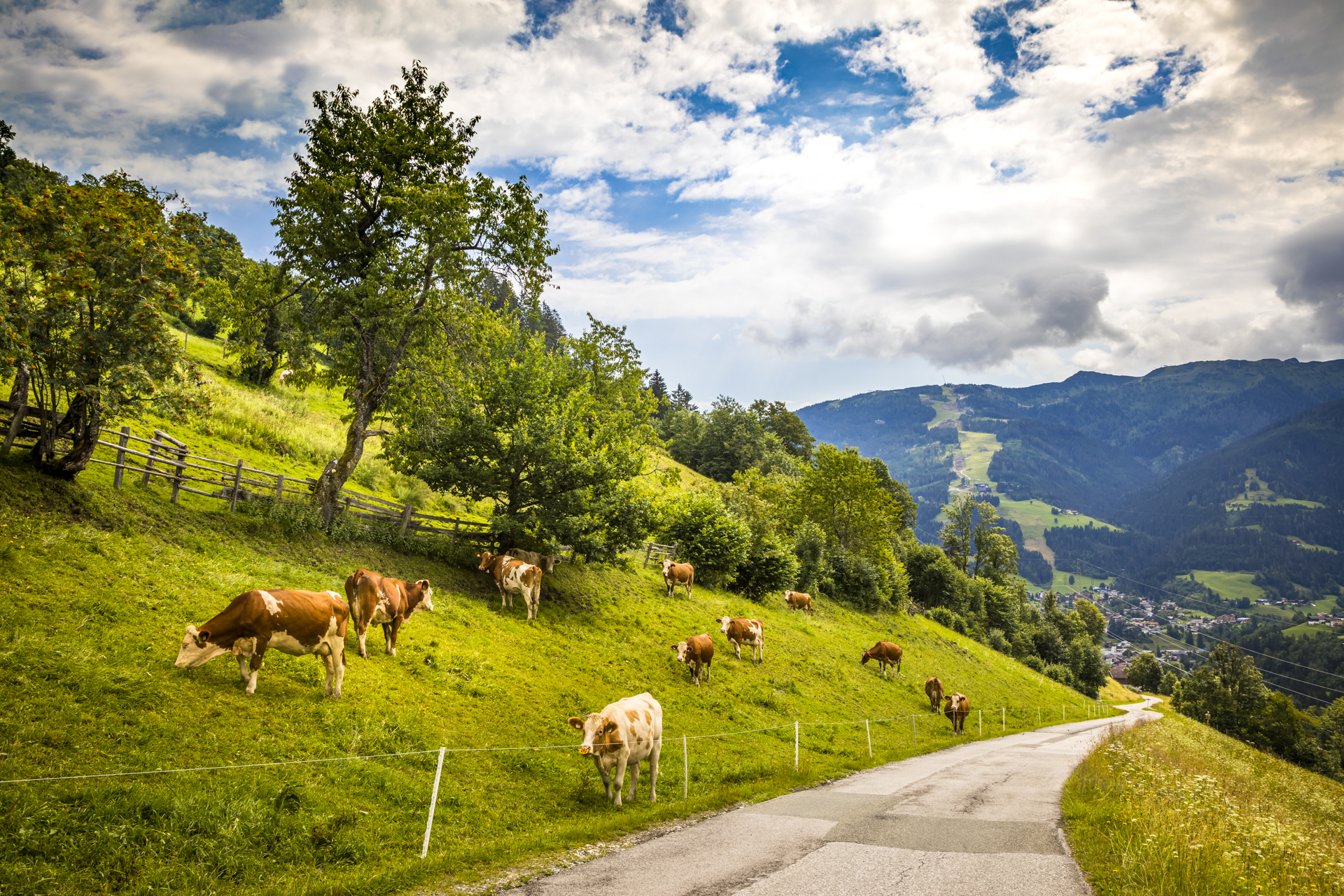 Ferien Bauernhof: Bio Bauernhof Oberbenk