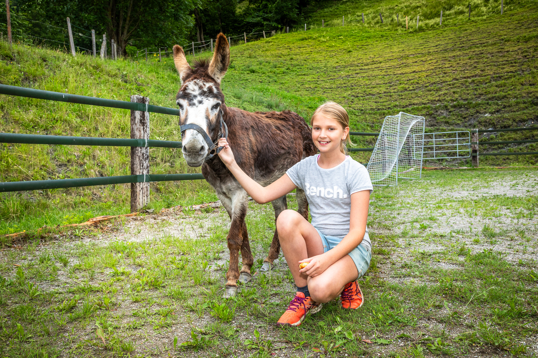 Ferien Bauernhof: Bio-Bauernhof Torbauer