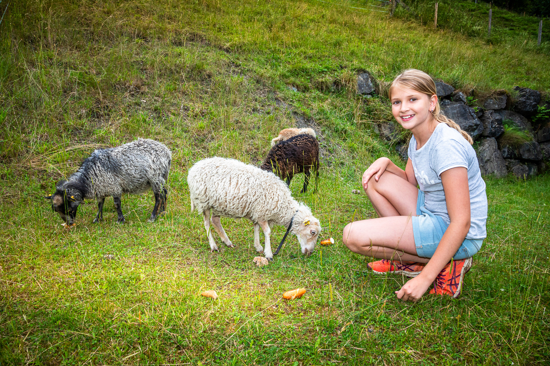 Ferien Bauernhof: Bio-Bauernhof Torbauer