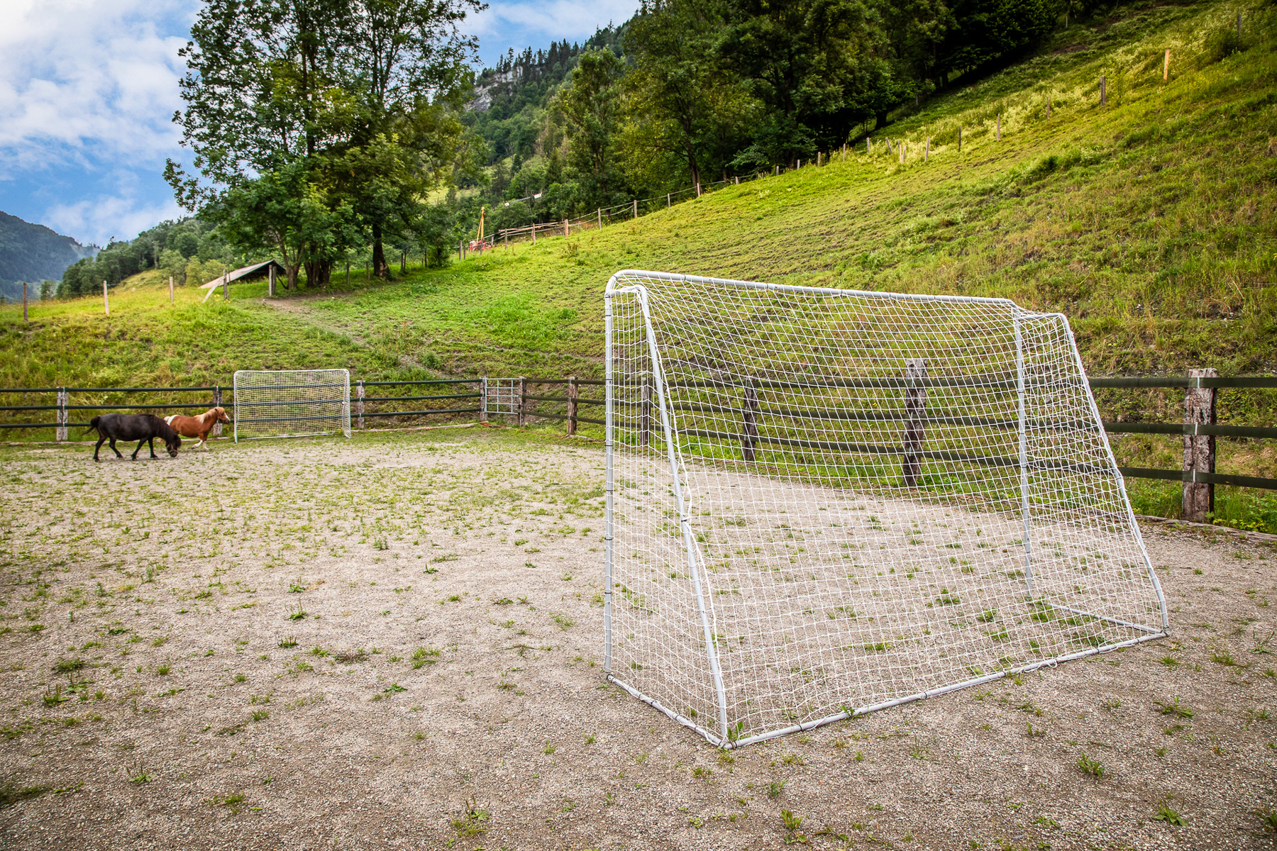 Ferien Bauernhof: Bio-Bauernhof Torbauer