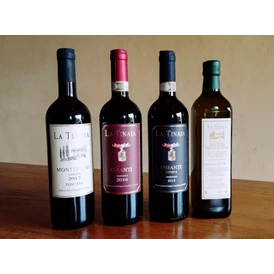 Ferien Bauernhof: Wir produzieren Chianti-Wein und natives Olivenöl extra, beide von ausgezeichneter Qualität. - Agriturismo La Tinaia