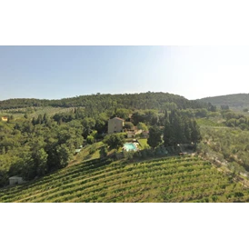 Ferien Bauernhof: Das Bauernhaus ist von Weinbergen, Olivenhainen und Wäldern umgeben. Eine Oase der Ruhe. - Agriturismo La Tinaia