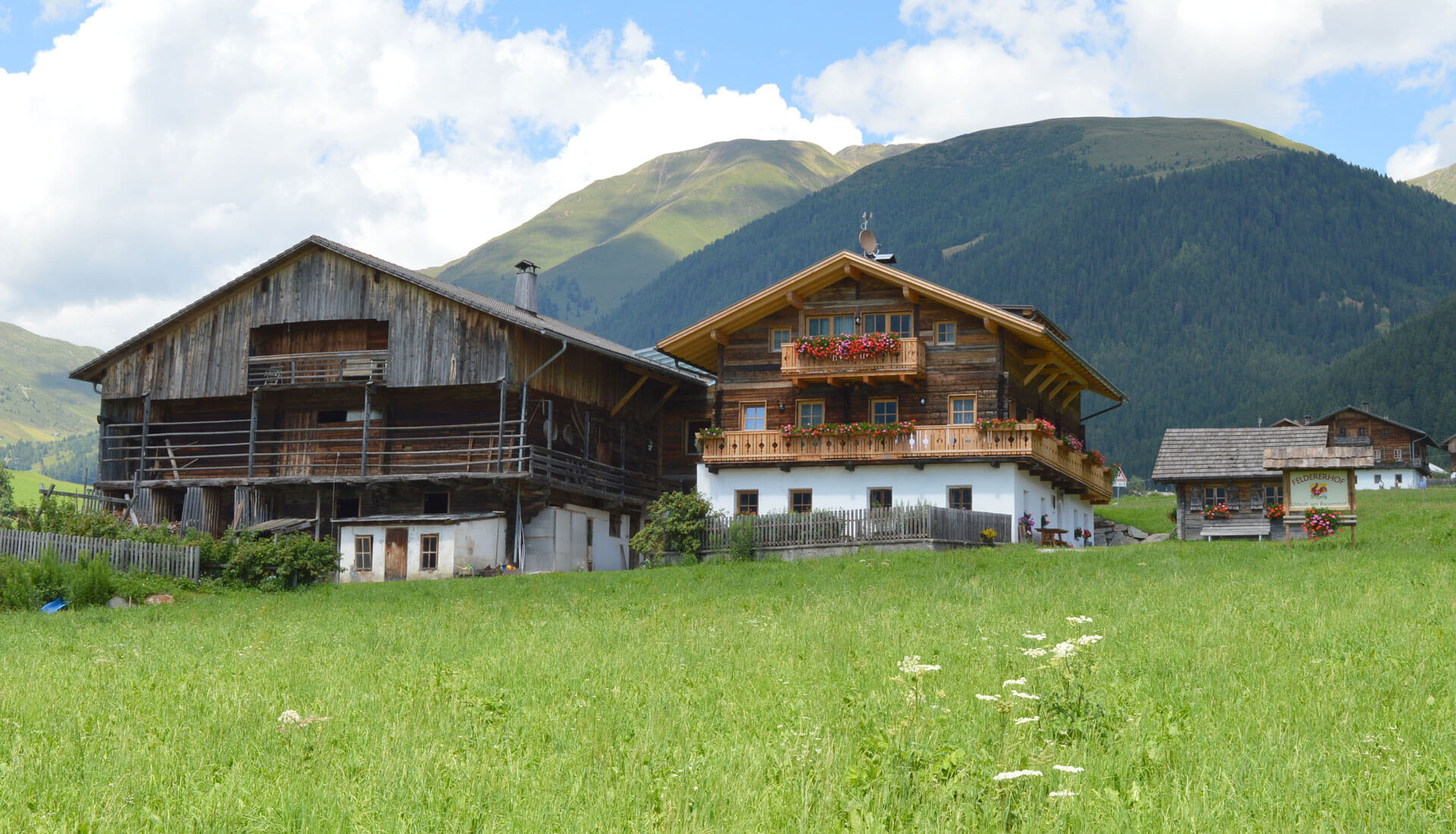 Ferien Bauernhof: Feldererhof
