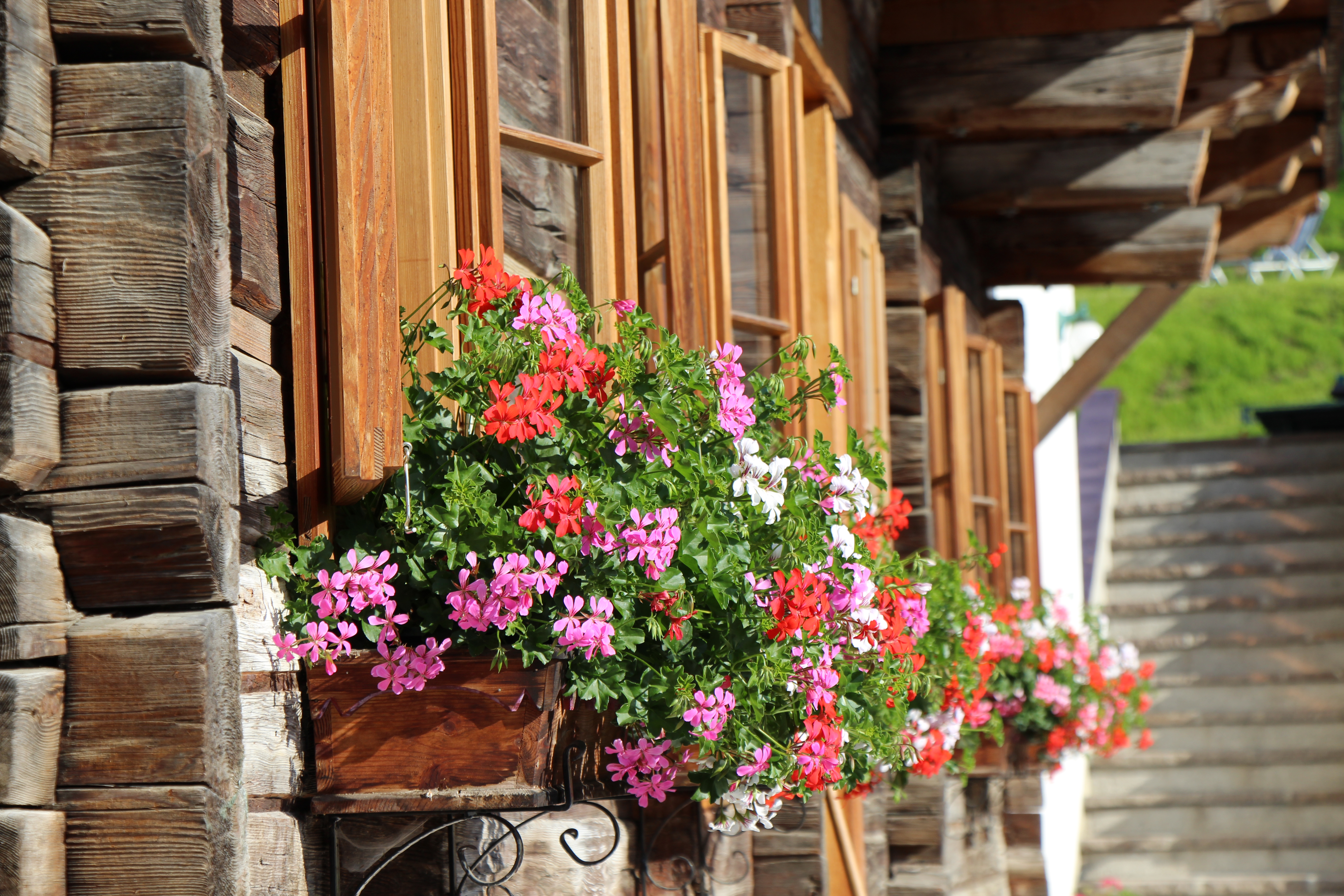 odmor na imanju - Grillmöglichkeit - Mühlbach am Hochkönig - Balkonblumen - Schmiedlehnerhof