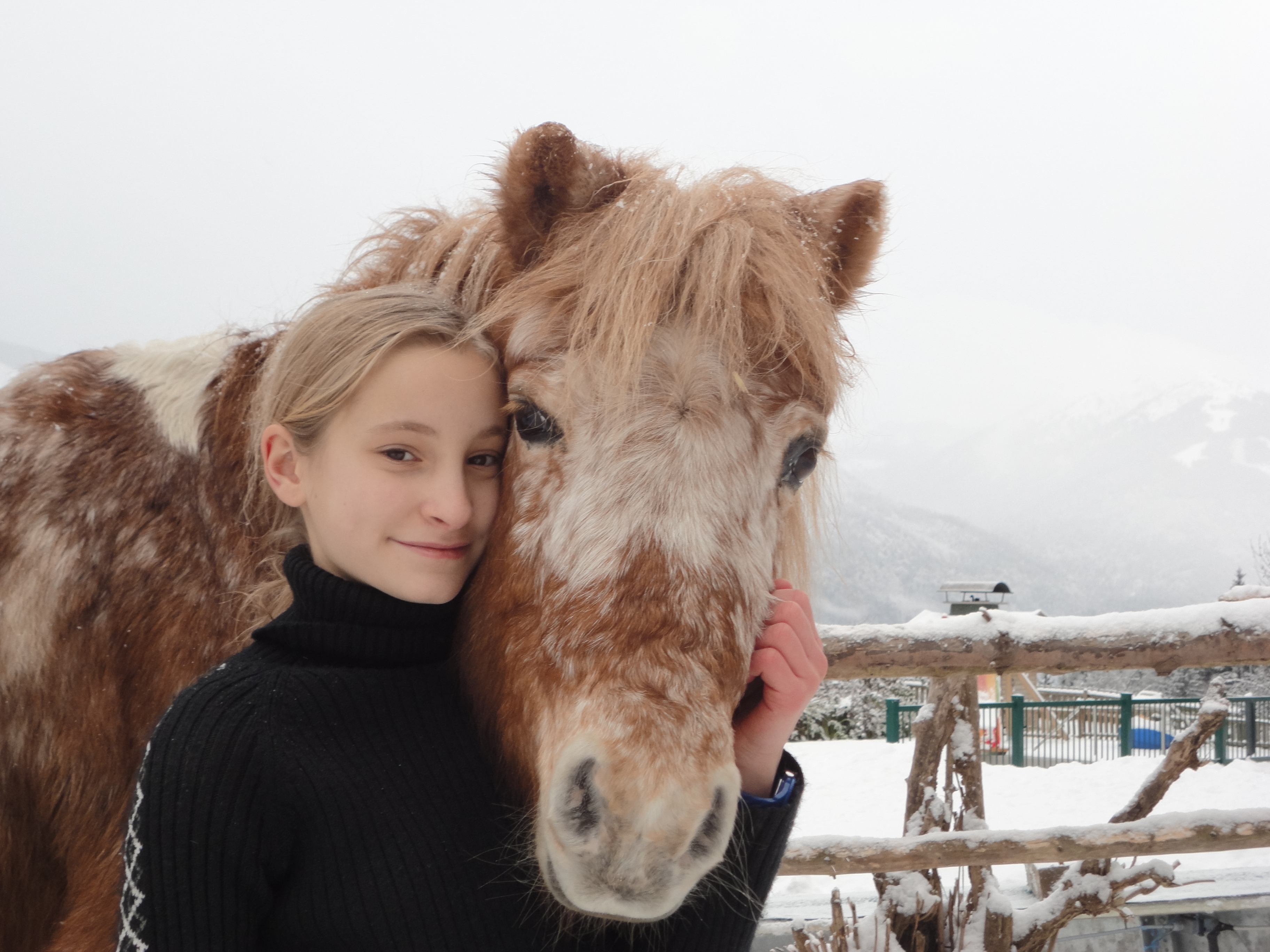 nawu apartments**** & Restaurant, die neue Leichtigkeit des Urlaubs unsere Tiere Pony