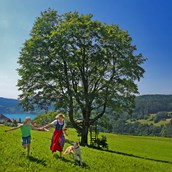 Urlaub auf dem Bauernhof: Petra und Albert Zopf/ Feichtingerhof