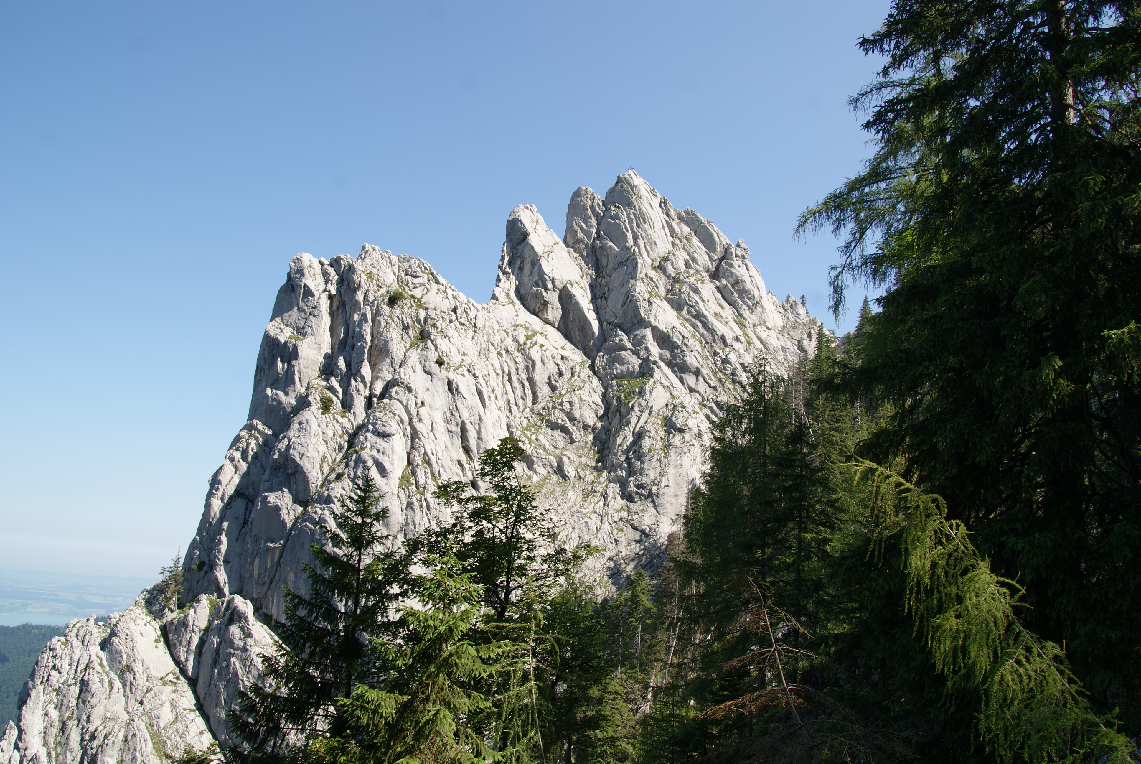 Ferien Bauernhof: Petra und Albert Zopf/ Feichtingerhof