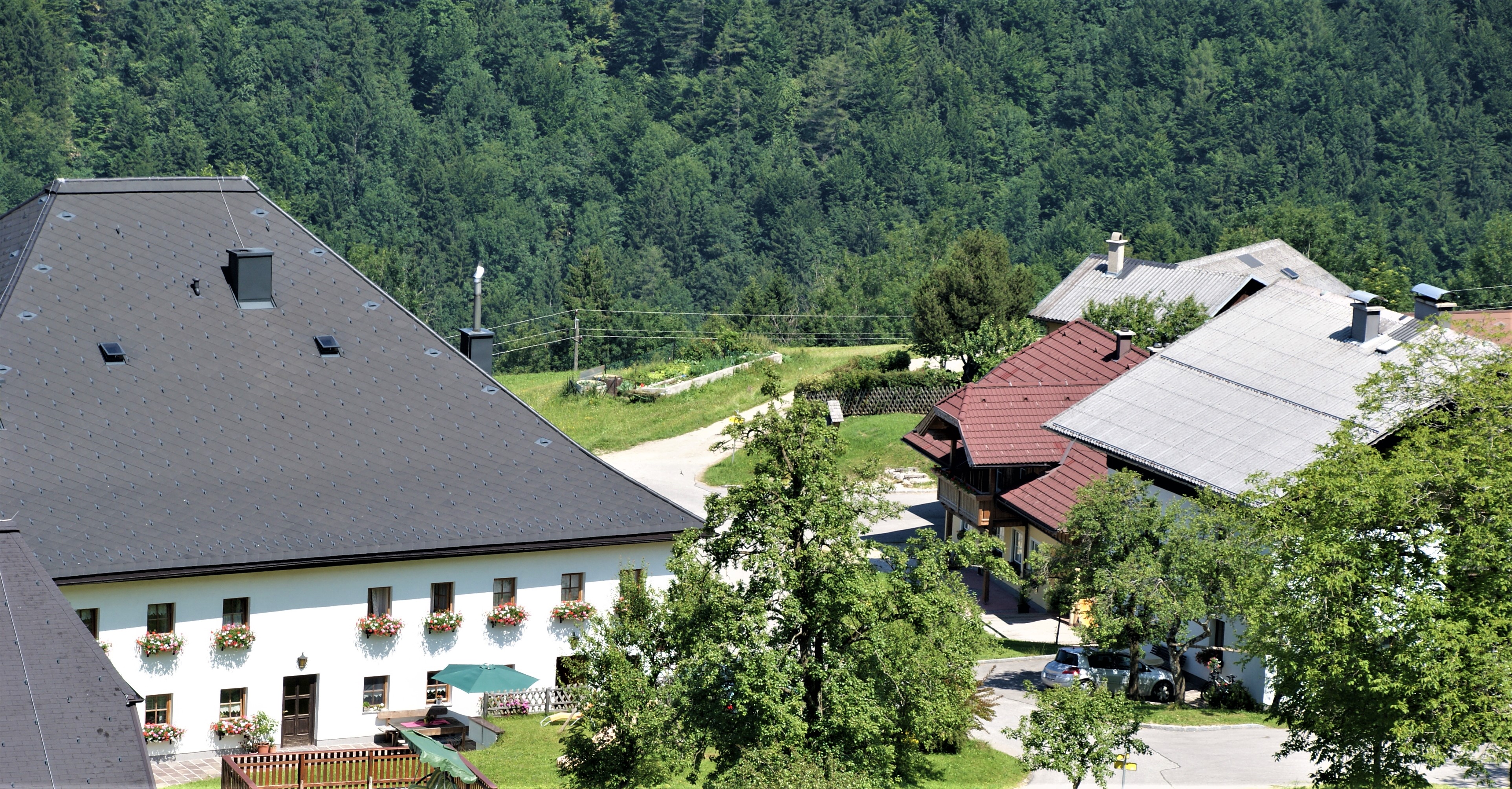Ferien Bauernhof: Petra und Albert Zopf/ Feichtingerhof