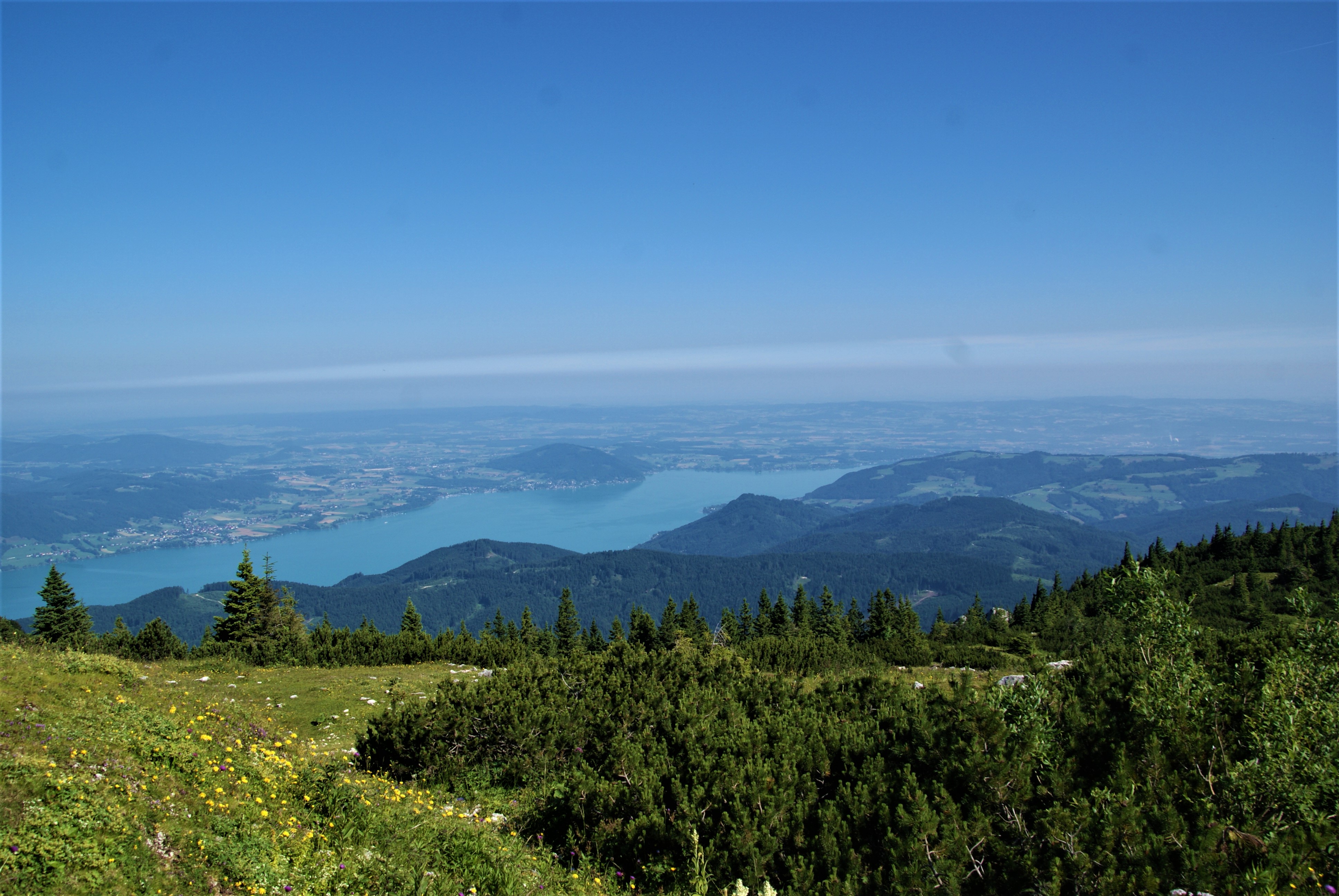 Ferien Bauernhof: Petra und Albert Zopf/ Feichtingerhof