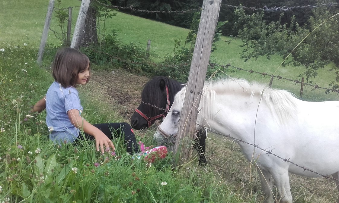 Ferien Bauernhof: Kinder und Tiere - ungewöhnliche Freundschaften!  - Forstnighof