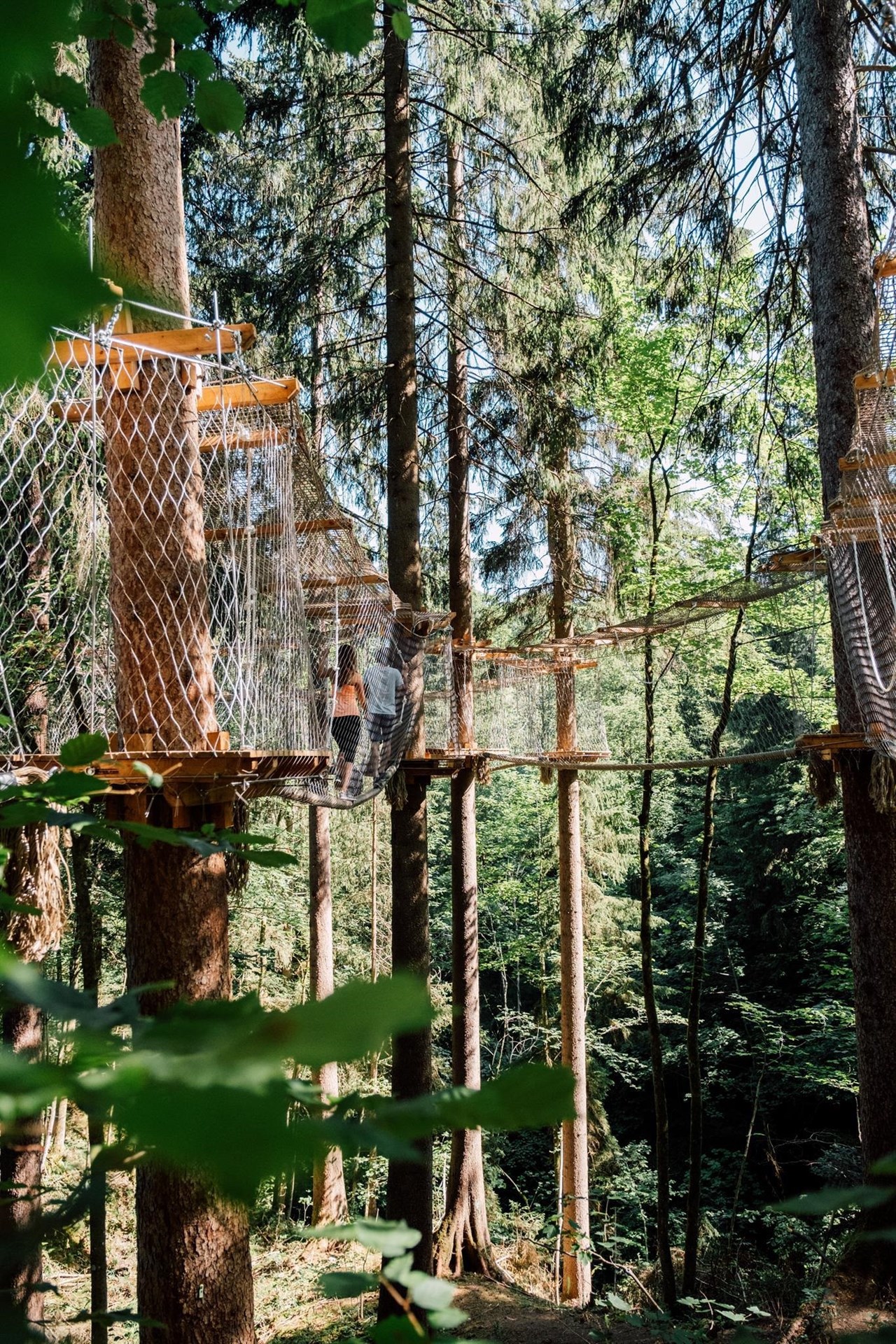 Der Oberbichlhof Ausflugsziele Baumparcours