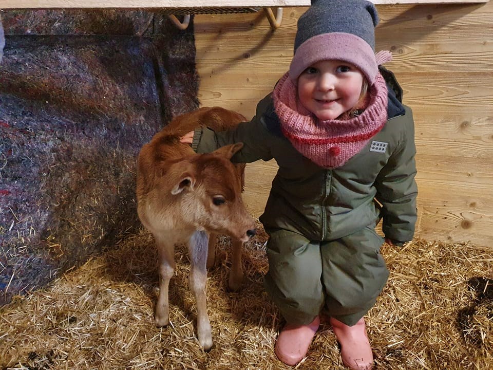 Oberbichlhof Appartements & Bauernhof Onze dieren 