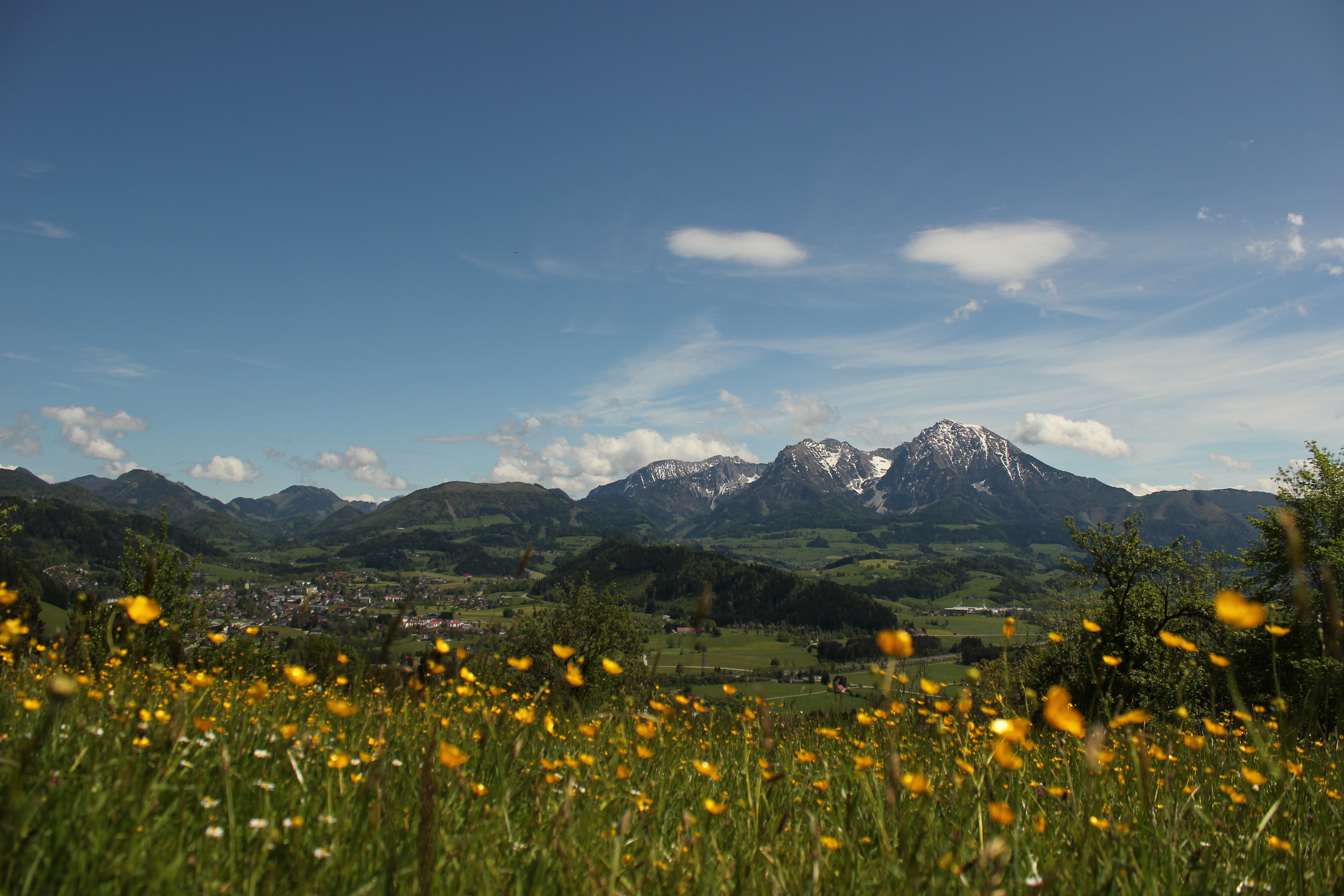vacanza in fattoria - Frühstück - Familienbauernhof Christa