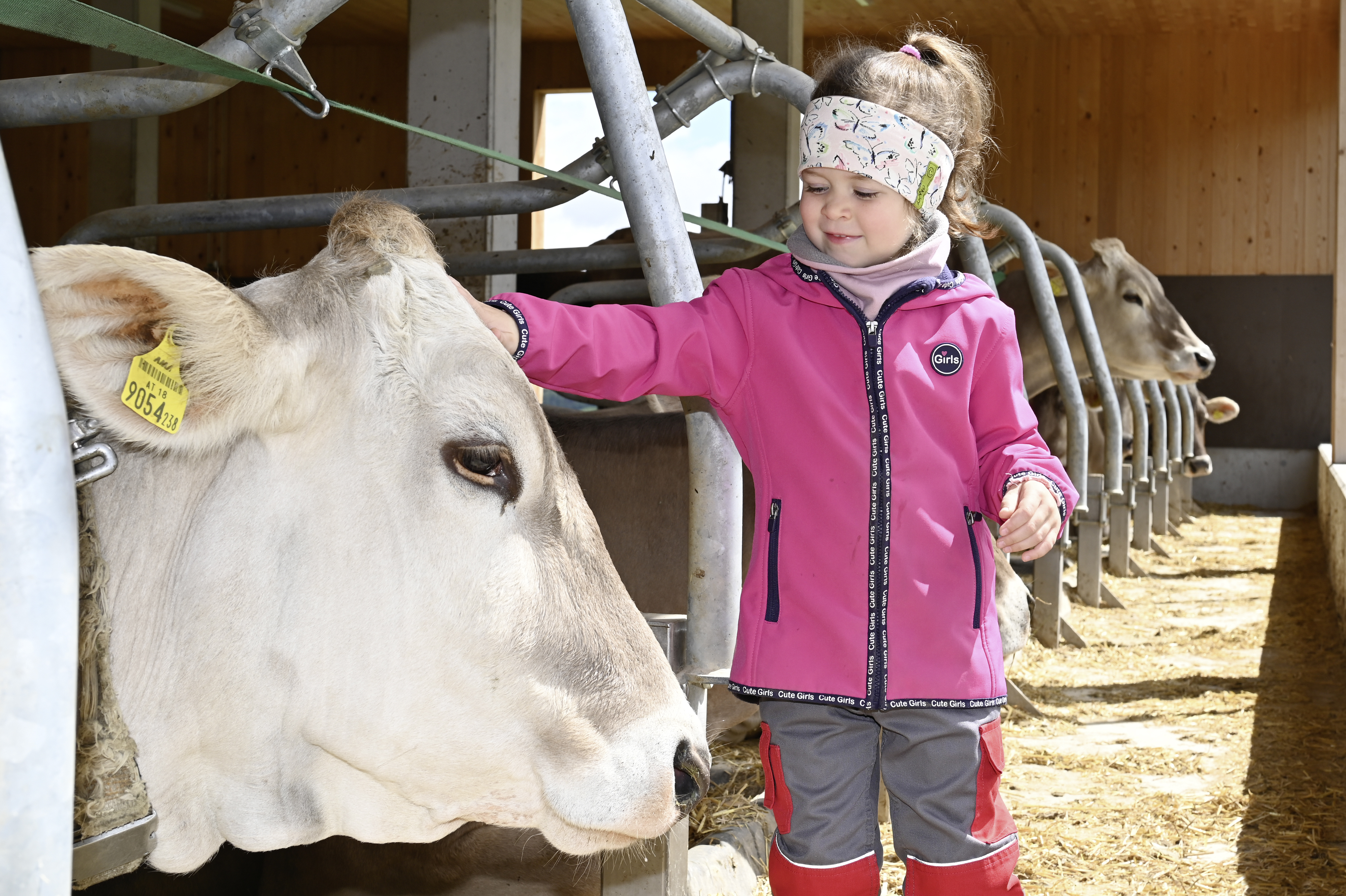 Ferien Bauernhof: Kinder sind Willkommen! - Ferienhof Landerleben