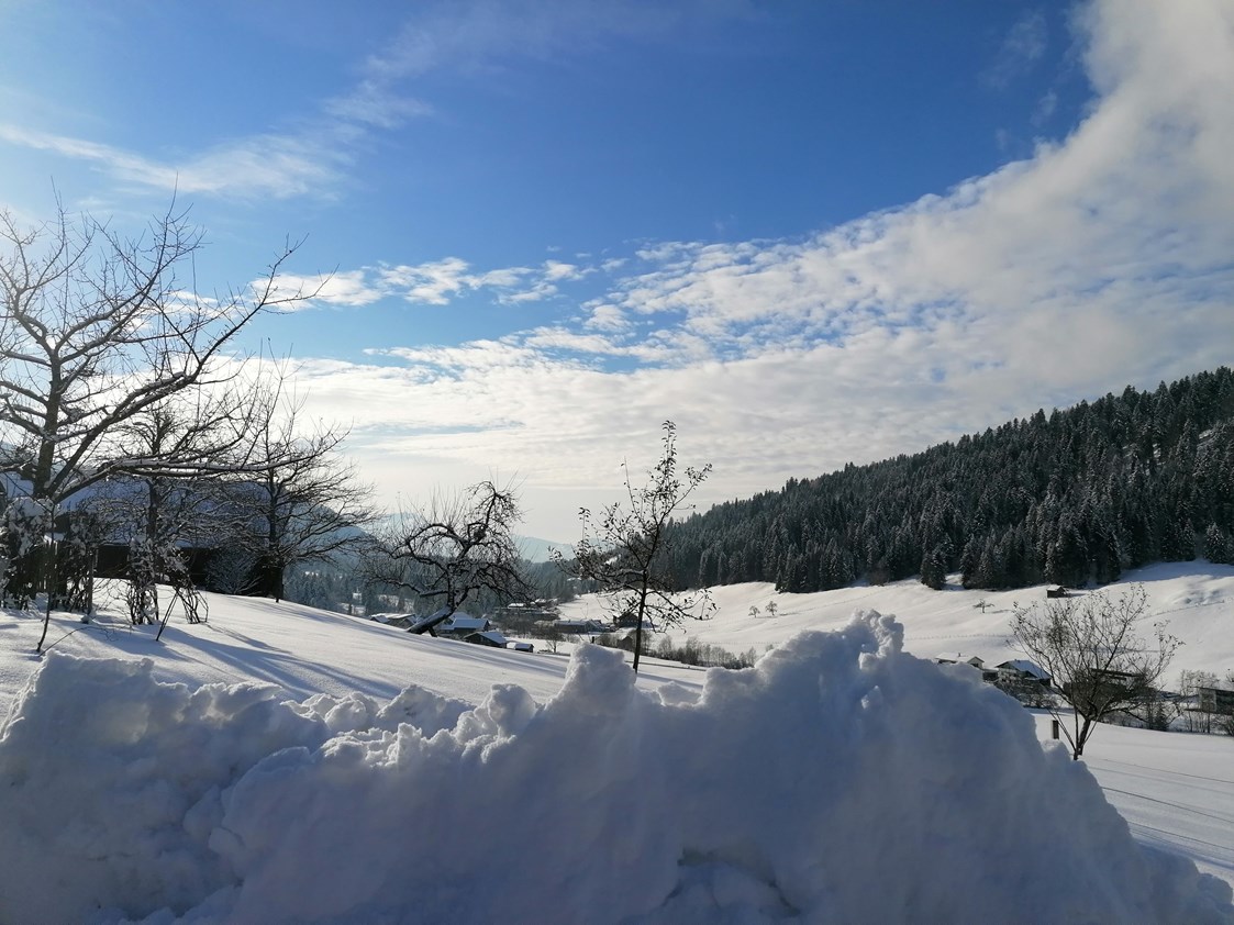 Ferien Bauernhof: Winter am Wiesenhof - Wiesenhof Rusch