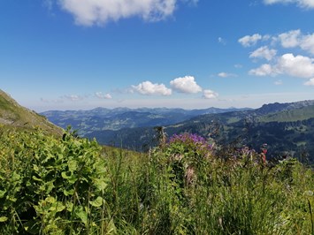 Wiesenhof Rusch Ausflugsziele Bregenzerwald