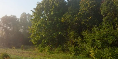 dovolená na farmě - Großdorf (Egg) - Symbolbild für Urlaub auf einem Bauernhof - Ferienhof Albrecht