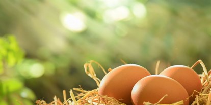 Urlaub auf dem Bauernhof - Egg (Egg) - Symbolbild für Urlaub auf einem Bauernhof - Herzhof