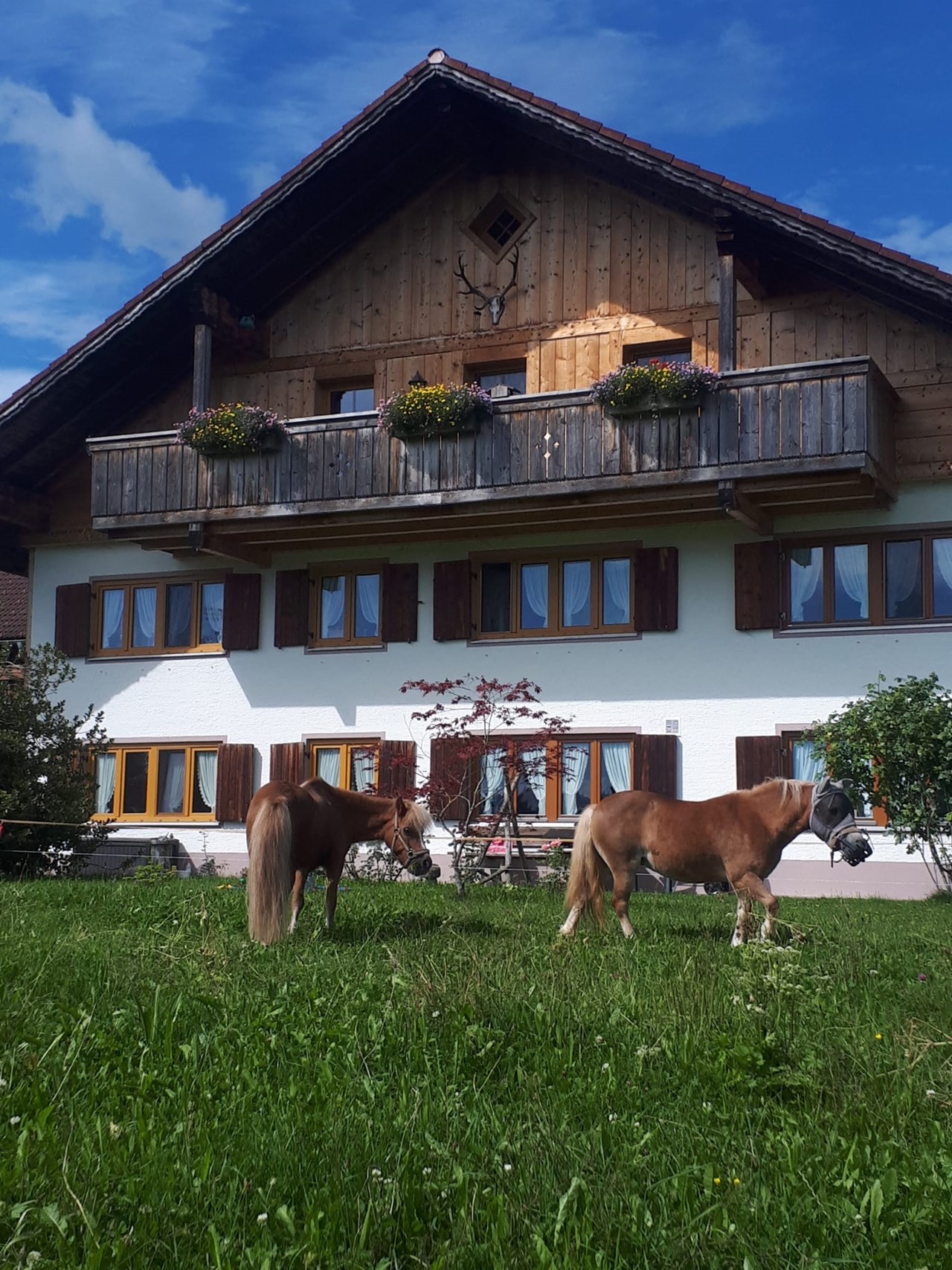 Waldhof Allgäu Vorstellung der Zimmer Fuchsbau Südbalkon mit Blick auf das Allgäuer Alpenpanorama
