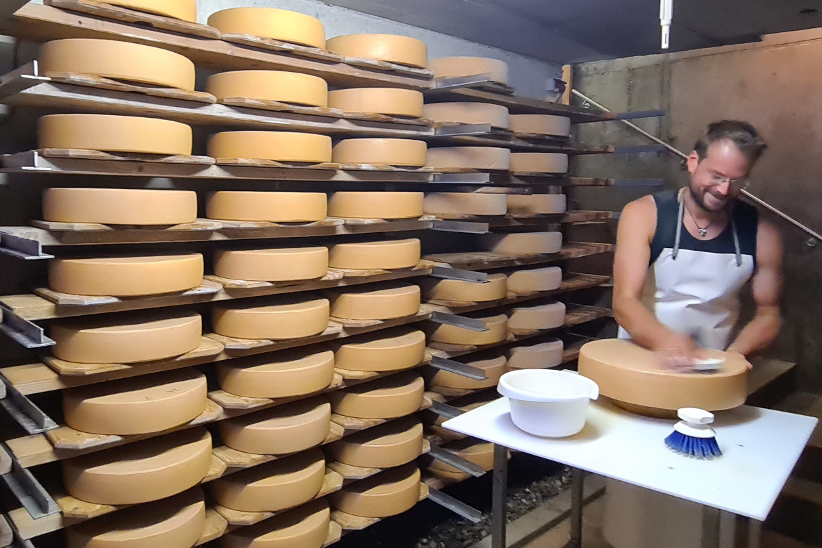 Ferien Bauernhof: Im Käsekeller - Ferienhof Alpe Berg