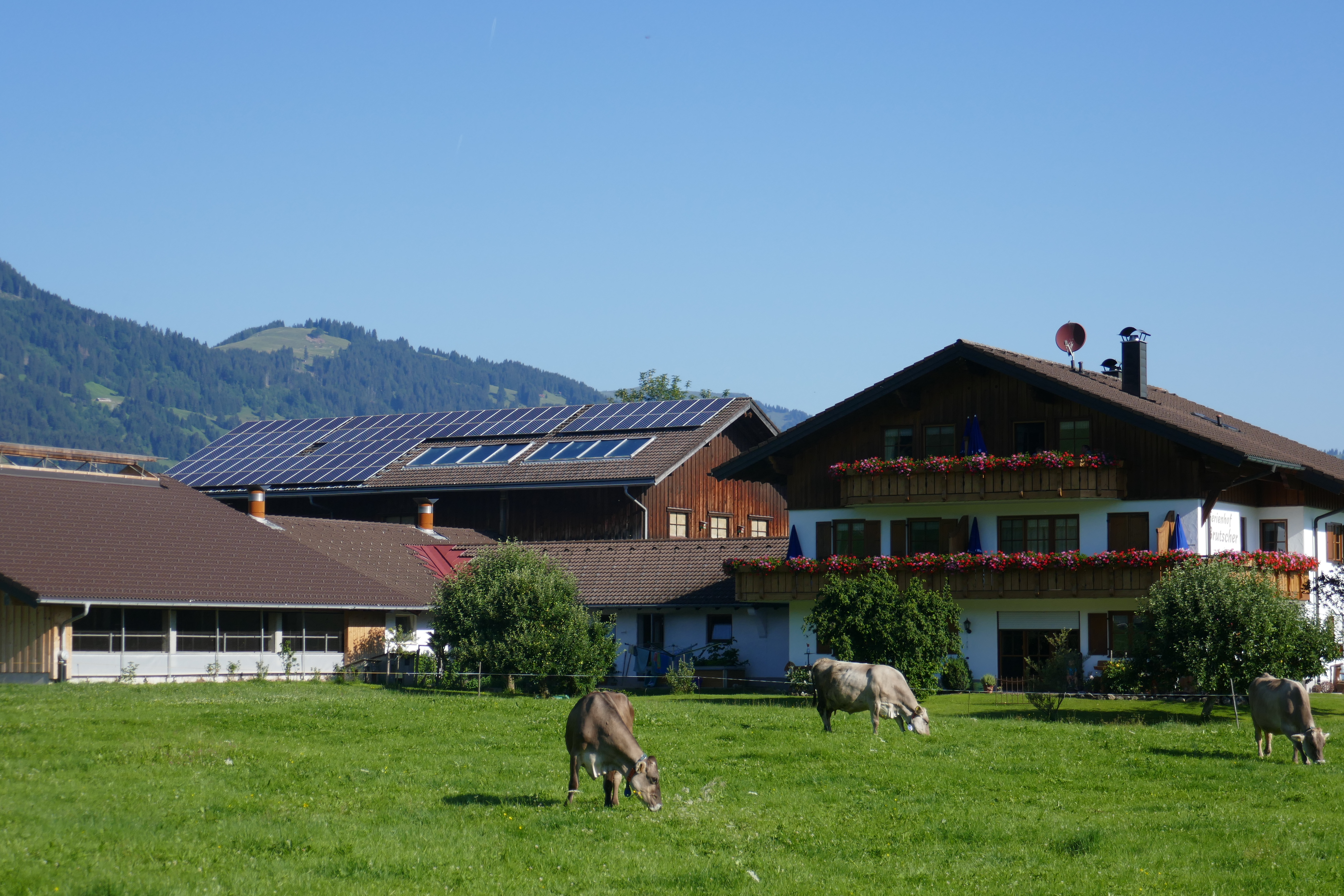 vacances à la ferme - Streichelzoo - Ferienhof Brutscher