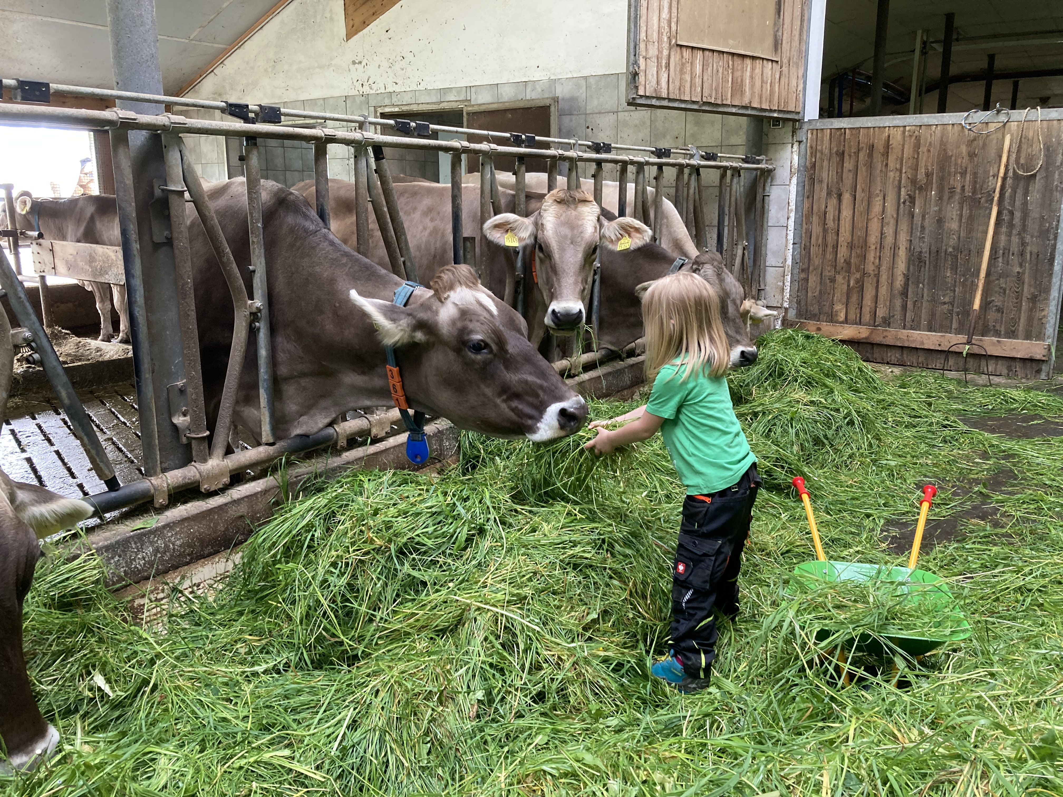 vacances à la ferme - Streichelzoo - Ferienhof Brutscher
