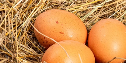wakacje na farmie - Großdorf (Egg) - Symbolbild für Urlaub auf einem Bauernhof - Ferienhof Althaus