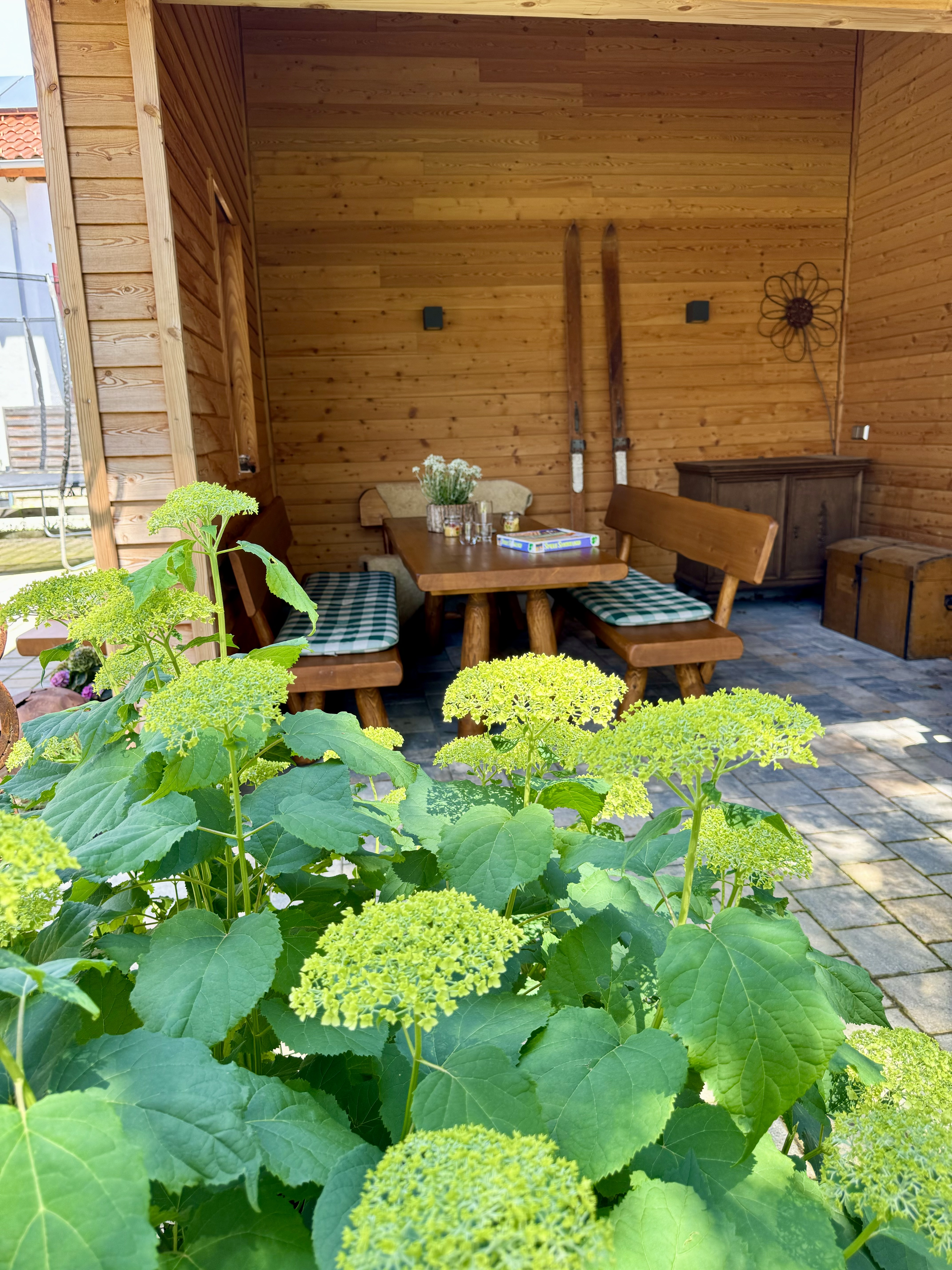 vacances à la ferme - Streichelzoo - Ferien- und Ponyhof Wertach