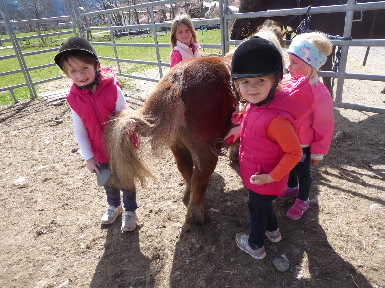 Ferien- und Ponyhof Wertach Naše životinje Farma ponija