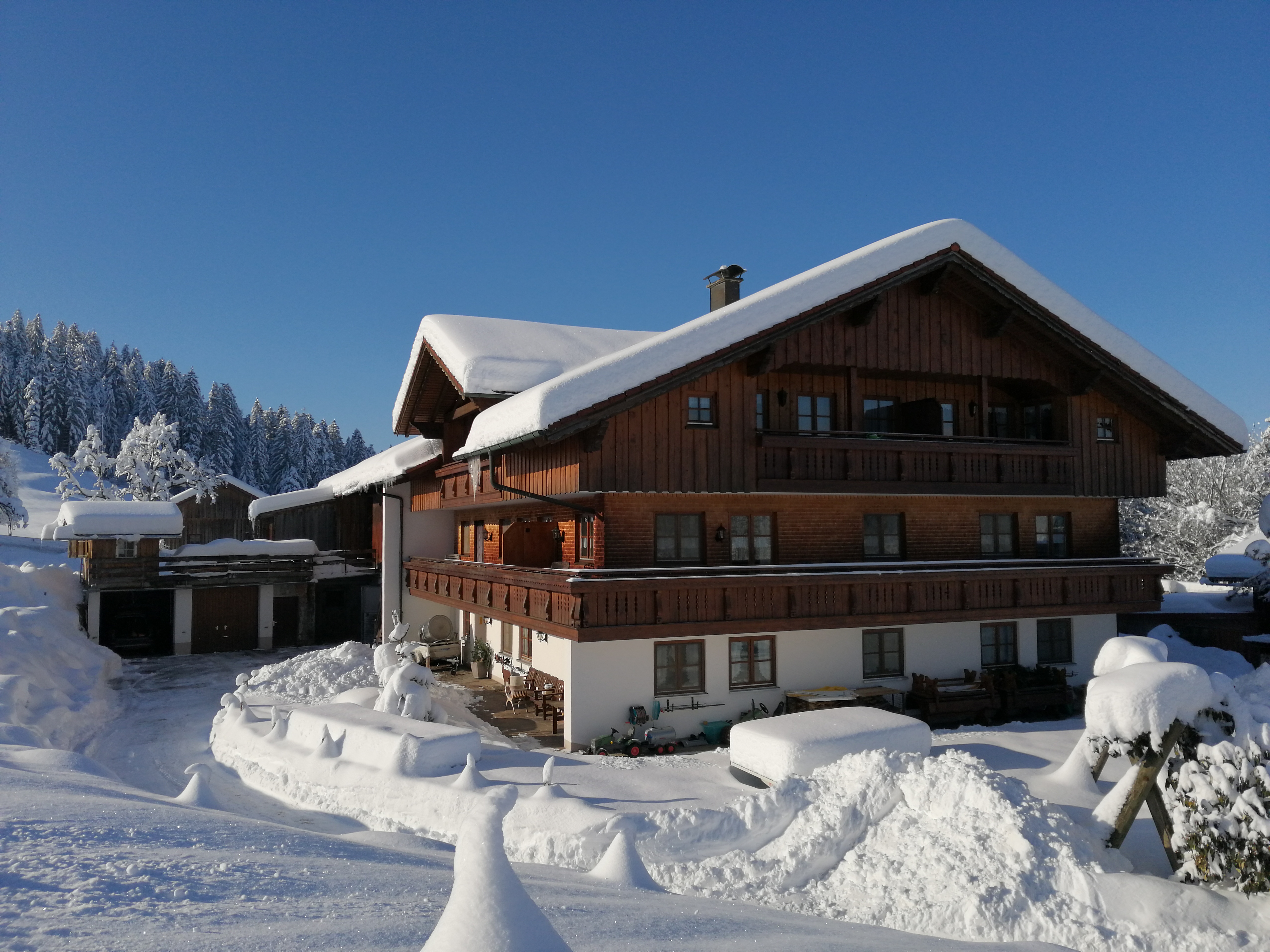 Urlaub auf dem Bauernhof - Schwimmen - Scheidegg - Bauernhof Denz
