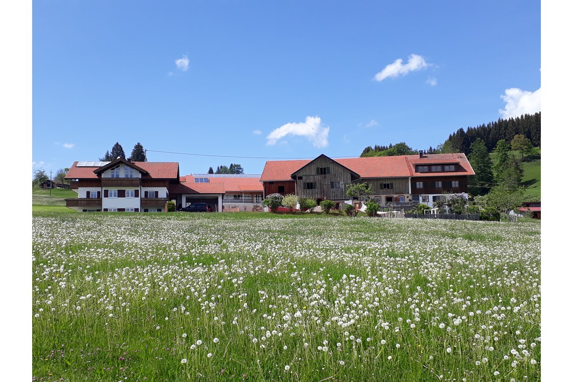 Ferien Bauernhof: Biobauernhof Holzer