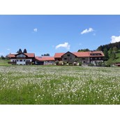 Ferien Bauernhof - Biobauernhof Holzer