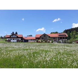 Ferien Bauernhof: Biobauernhof Holzer