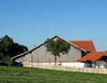 Ferien Bauernhof: Verweilen Sie in der Hängematte unter unserem Liebesbaum. - Biobauernhof Holzer