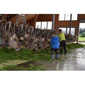 Ferien Bauernhof: ERLEBEN der Landwirtschaft wird bei uns groß geschrieben. - Biobauernhof Holzer