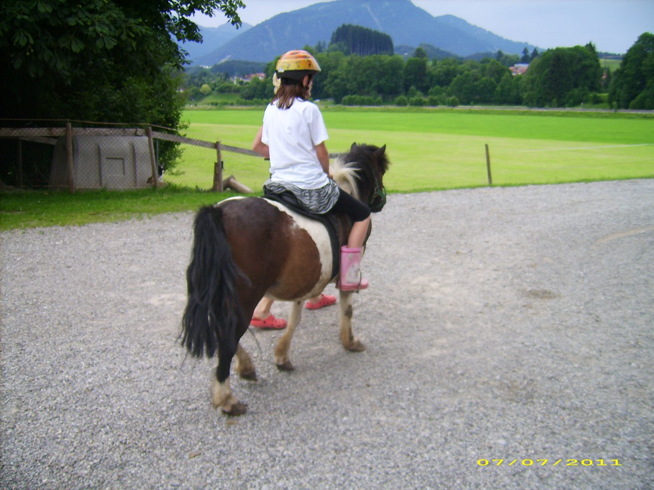 Ferienhof Haslach Naše životinje 